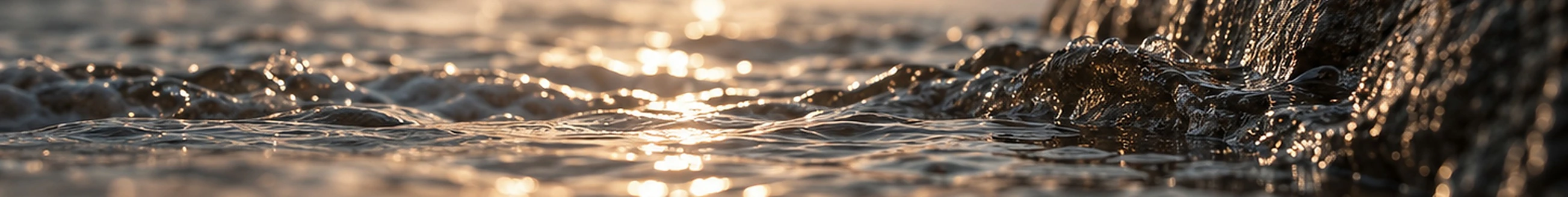Evening light meets the surface of the sea beside dark stone.